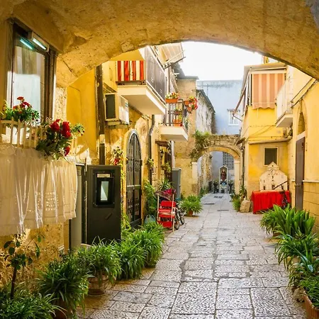 Seagull Sea & Airport Bari