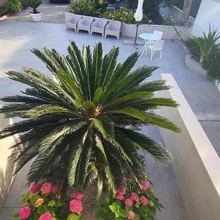 Seagull Sea & Airport *