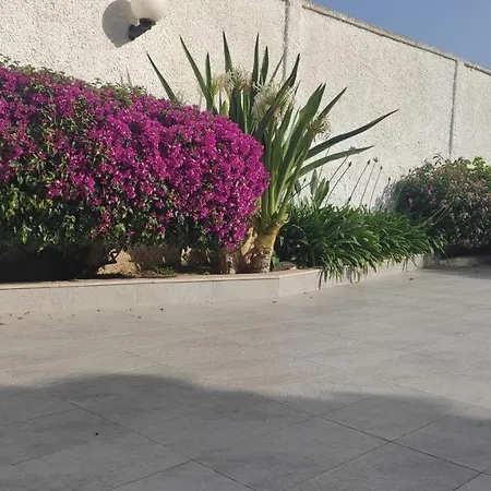 Seagull Sea & Airport Lejlighed *