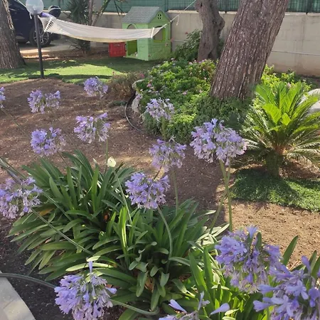 Seagull Sea & Airport