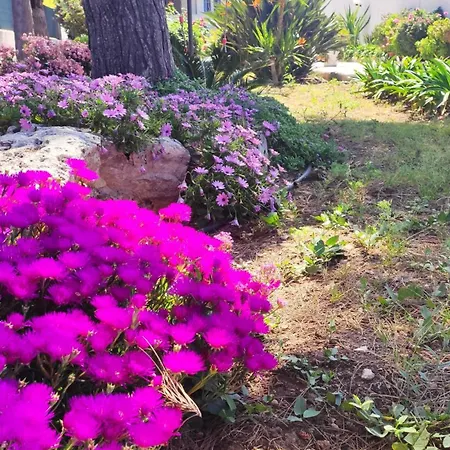 Seagull Sea & Airport *