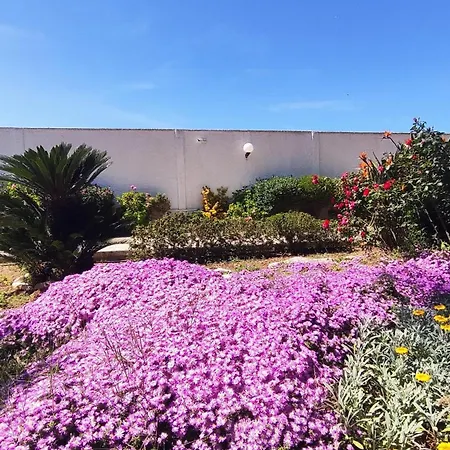 Seagull Sea & Airport