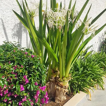 Appartement Seagull Sea & Airport Bari