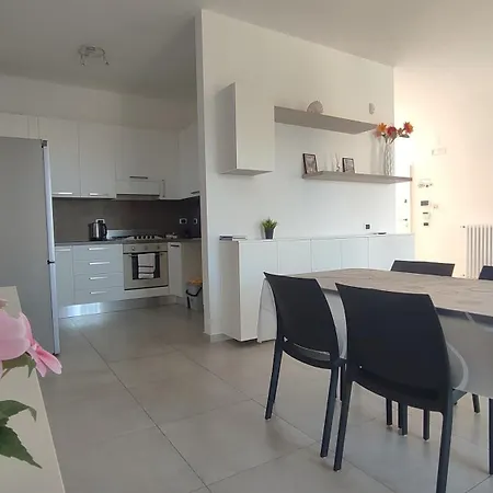 Seagull Sea & Airport