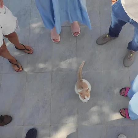 Seagull Sea & Airport Appartement *