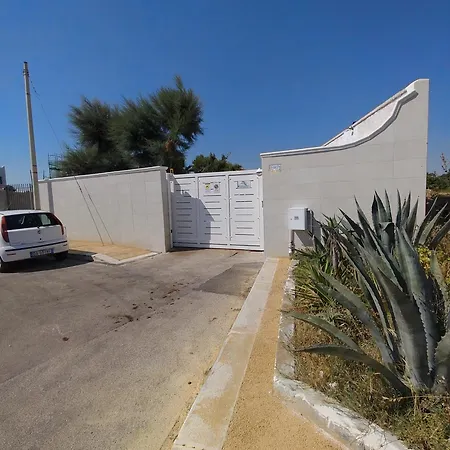 Seagull Sea & Airport Bari