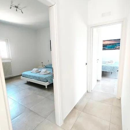 Seagull Sea & Airport