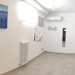 Seagull Sea & Airport Apartment