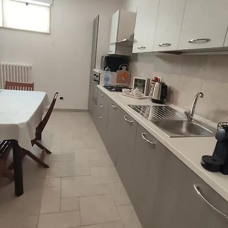 Seagull Sea & Airport *