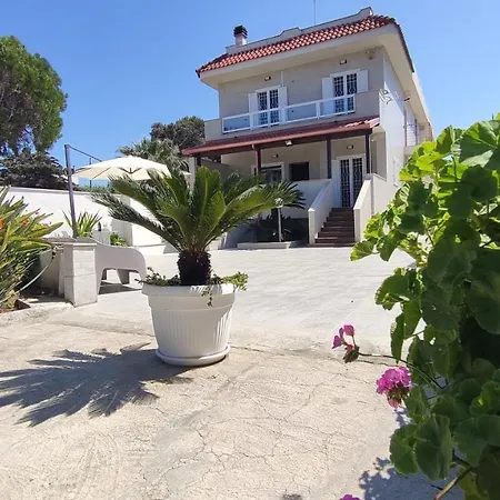 Seagull Sea & Airport * 바리