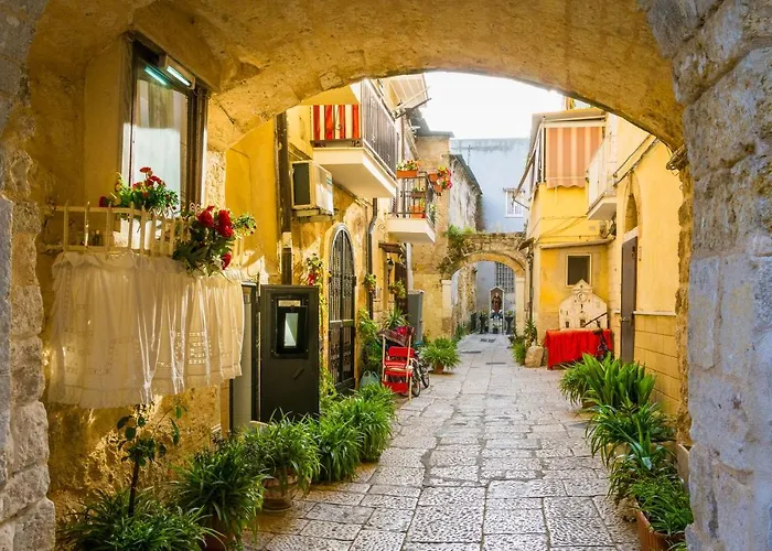 Seagull Sea & Airport Bari