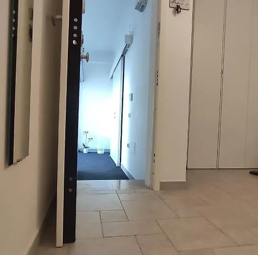 Seagull Sea & Airport