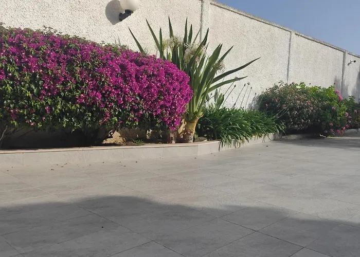 Seagull Sea & Airport Apartment *