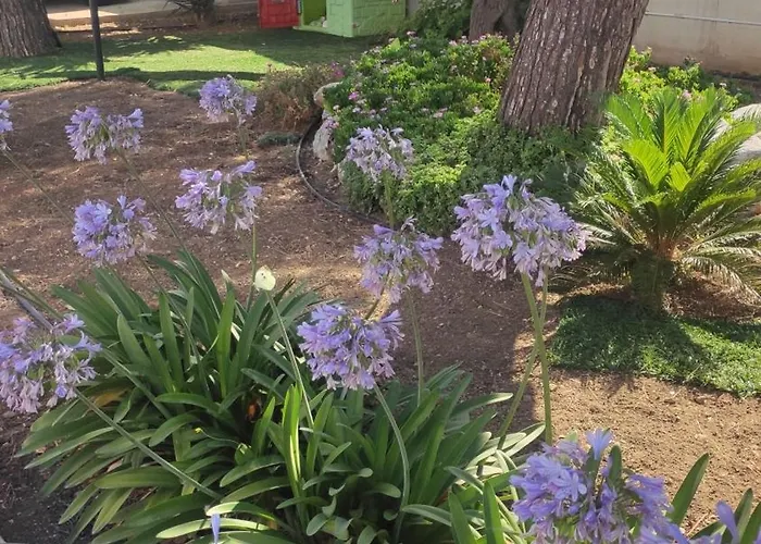 Seagull Sea & Airport