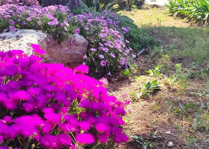 Seagull Sea & Airport *