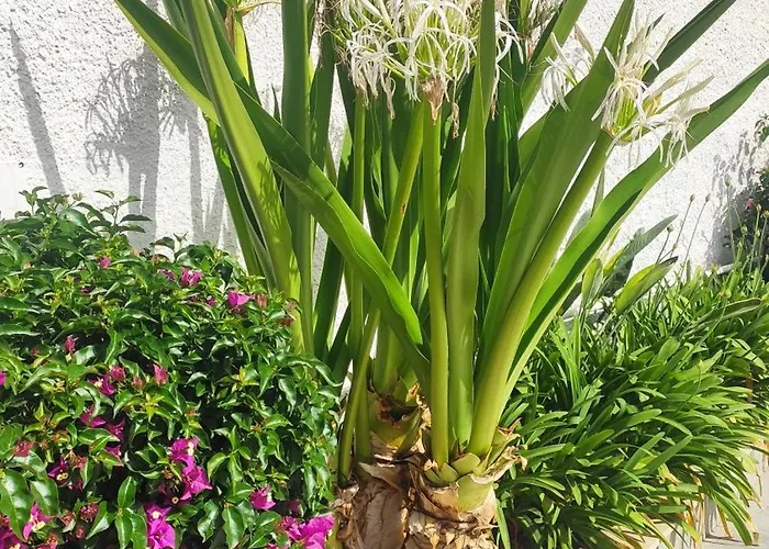 Apartment Seagull Sea & Airport Bari