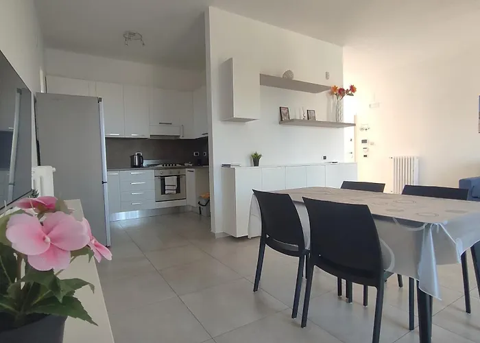 Seagull Sea & Airport