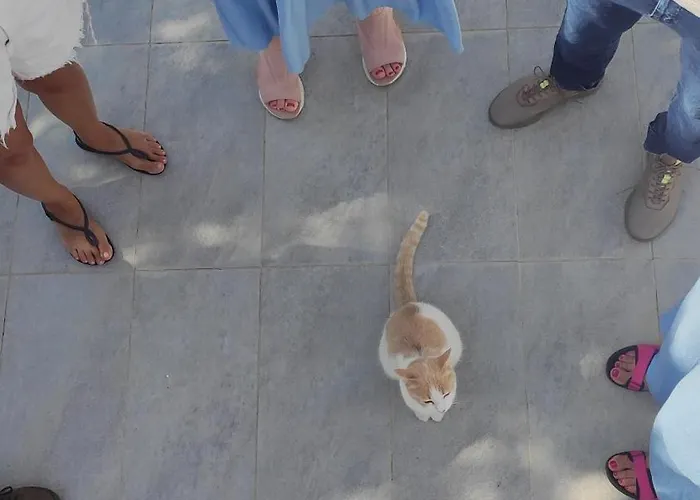 Seagull Sea & Airport Apartment *