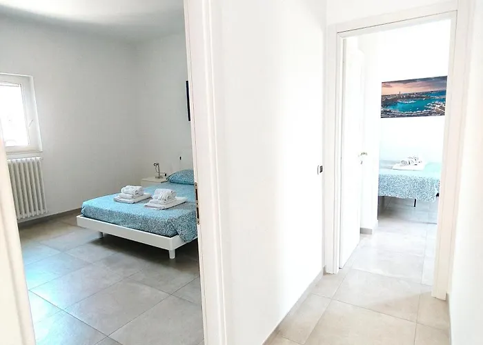 Seagull Sea & Airport